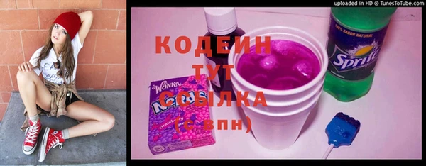 ешки Няндома