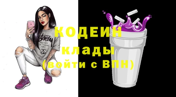 ешки Няндома