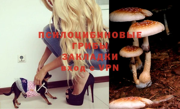 таблы Нягань