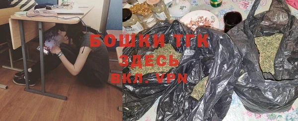 ешки Няндома