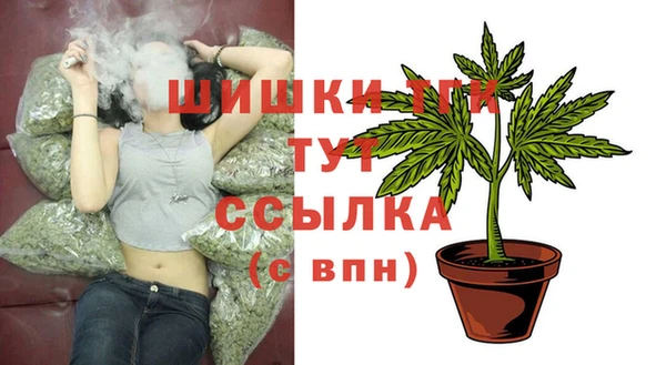 ешки Няндома